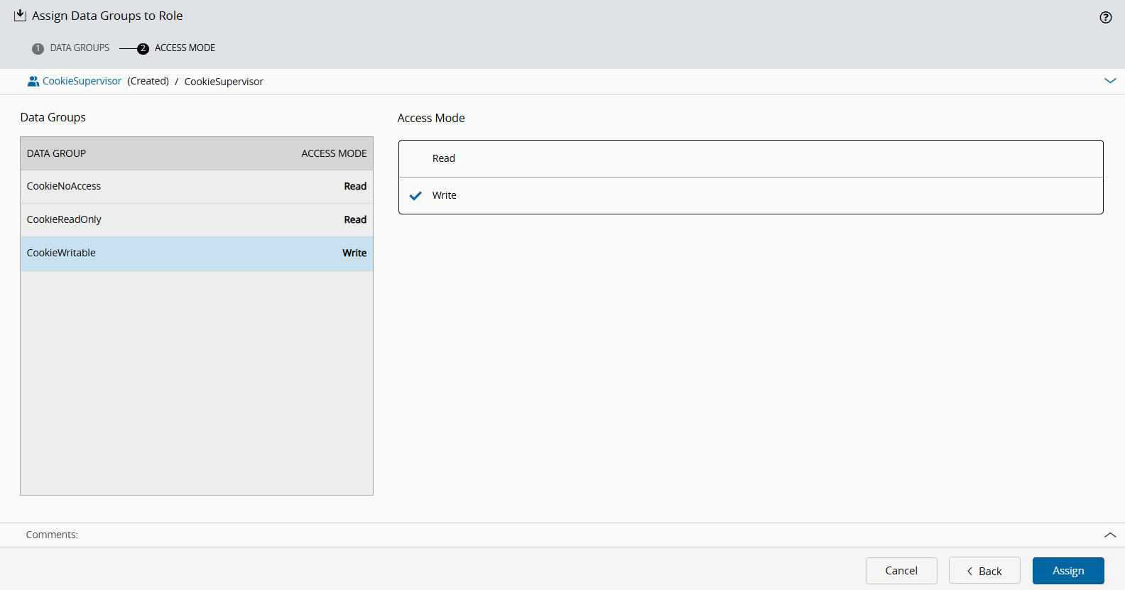 Assign Data Groups dialog showing access mode configuration for role membership