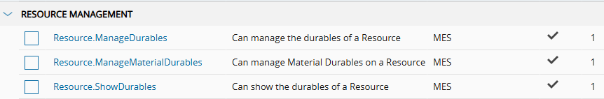 Screenshot showing the durables-related permissions in the security configuration.