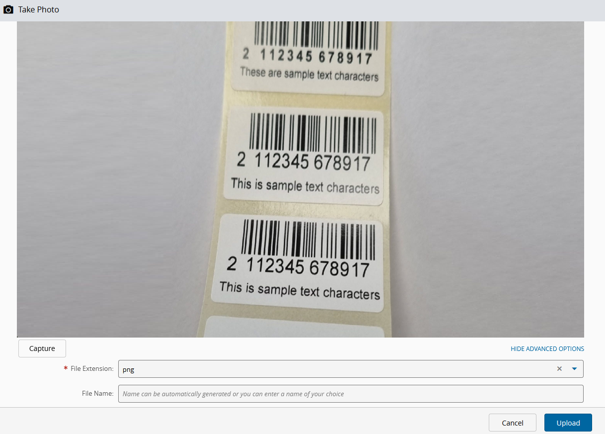 Screenshot showing the Capture Image modal.