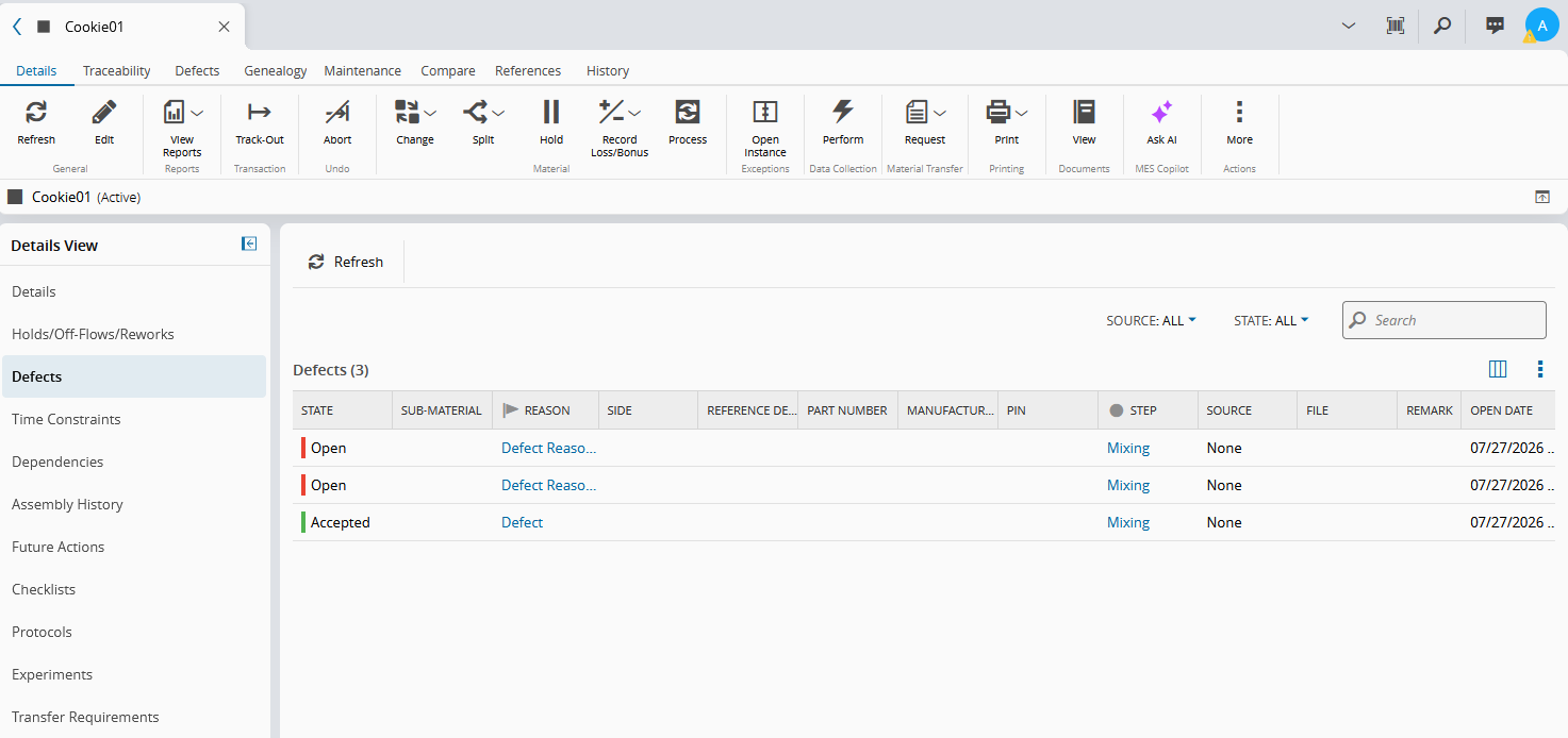 Screenshot showing a list of defects.